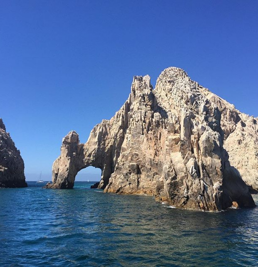 Morning Dive. #Cabo #Mexico