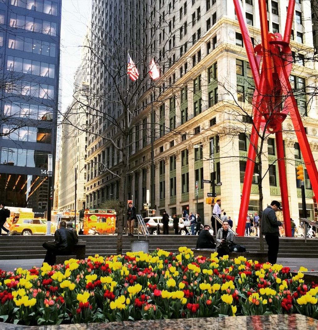 #nycinbloom #downtownscenes #spring #fidi #lunchin #nojacketrequired #nyc