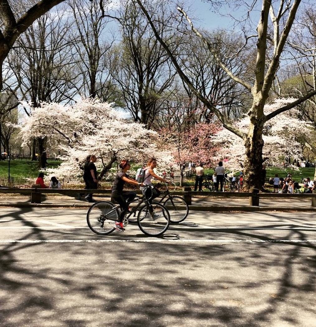 #springrunperfection #centralpark #finally #nyc #eastside #thesearethedays