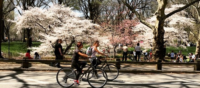 #springrunperfection #centralpark #finally #nyc #eastside #thesearethedays