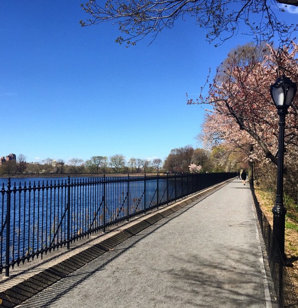 #run #nyc #todaysview #spring