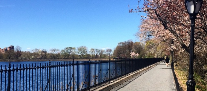 #run #nyc #todaysview #spring