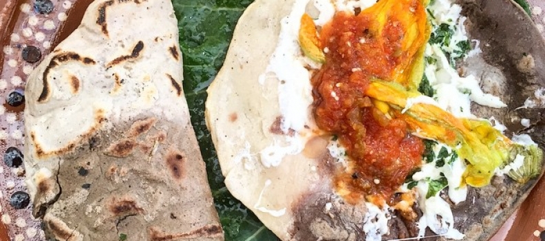 Flor de Calabaza Quesadilla (the other is mole). #thebestkindofquesadilla #mexico #streetfood #morelia #moreliaenboca @meboficial #food #foodporn #lunch #paracomer