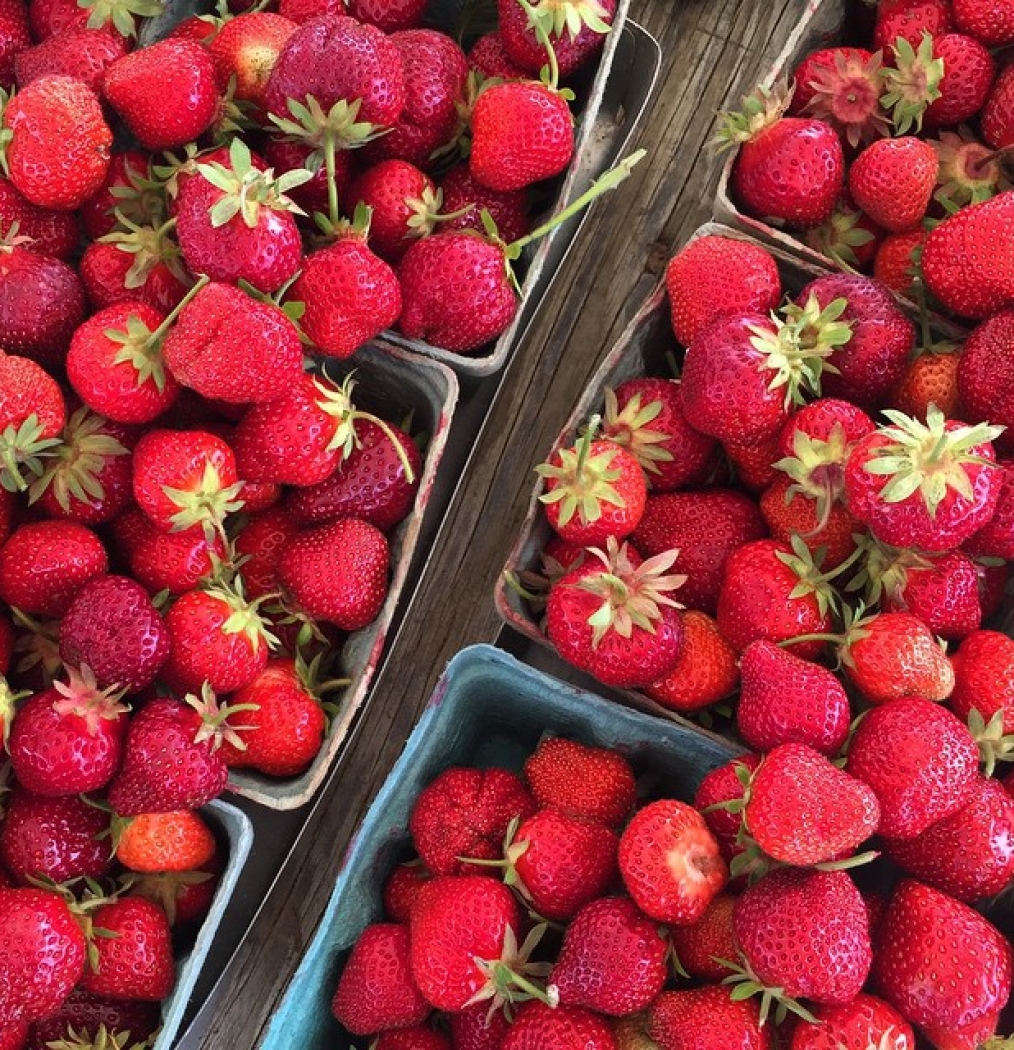 #loot #strawberrypickin #auntnah #eatonepickone #howisummer #summahtime