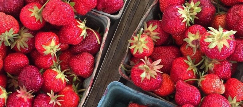 #loot #strawberrypickin #auntnah #eatonepickone #howisummer #summahtime