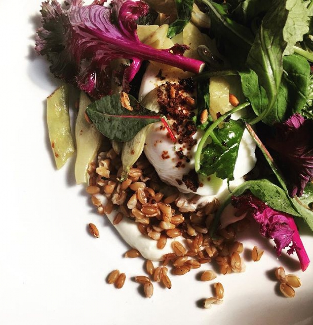 Greens + grains. (+ poached egg + burrata, obviously…) #workinglunch #bk #bushwick #lunch #summer #instafood #robertas #merightnow #eeeeeats