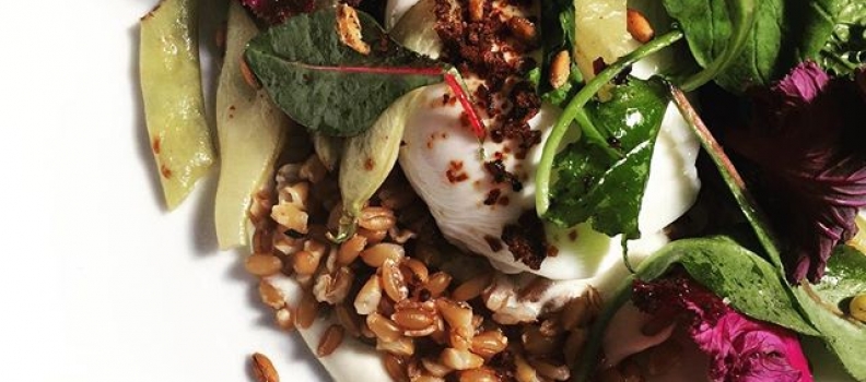 Greens + grains. (+ poached egg + burrata, obviously…) #workinglunch #bk #bushwick #lunch #summer #instafood #robertas #merightnow #eeeeeats