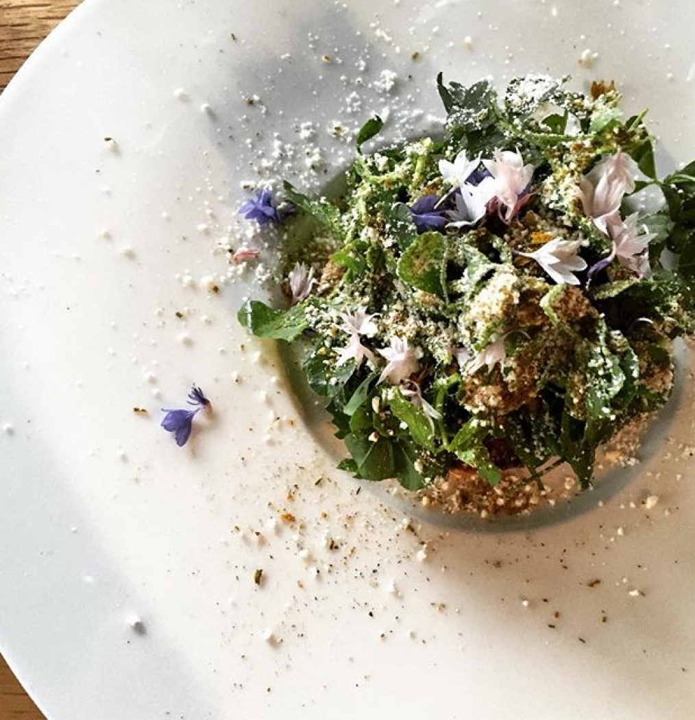 Foraged Flower over Shrimp + Flax Seed Tostada @kaahsiis #backinmexico #mexicocity #israelmontero #food #instafood #foodasart #df #latam50