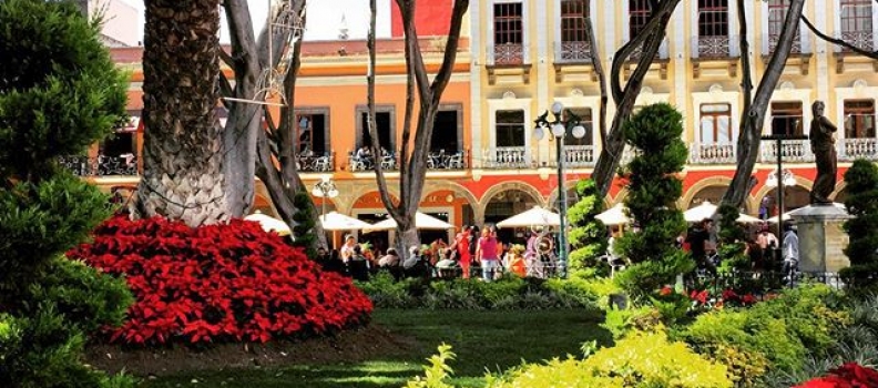 Puebla, you slay me. #zocalo #puebla #mexico #centro #plaza #travel #happinessis #wander #latam #spaces