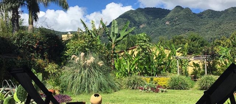 Current view (from the living room of my next couple of days!) Chez Johnston-Gilman, Malinalco, Mexico. #sigh…