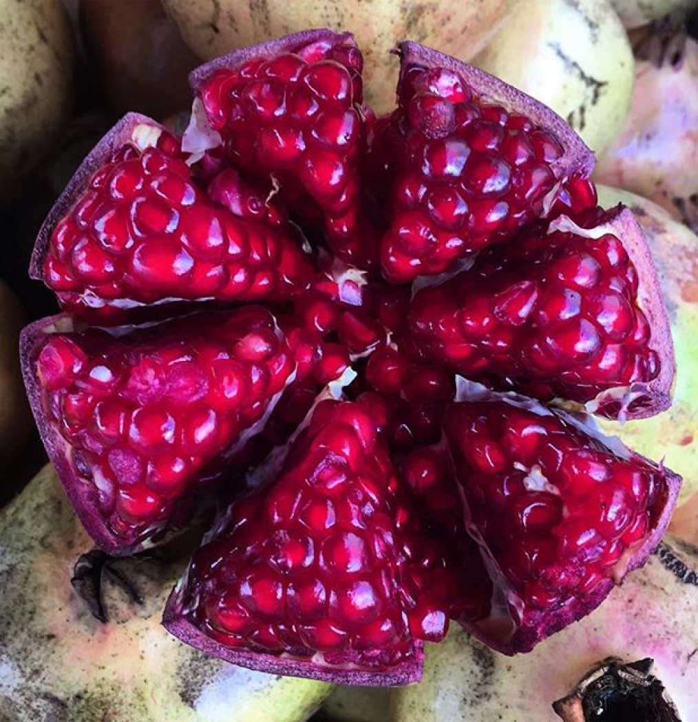 Riches, for breakfast. #mexico #pomegranate #heavensent #eattheworld #traveldeeper #instafood #malinalco #fave #myambrosia