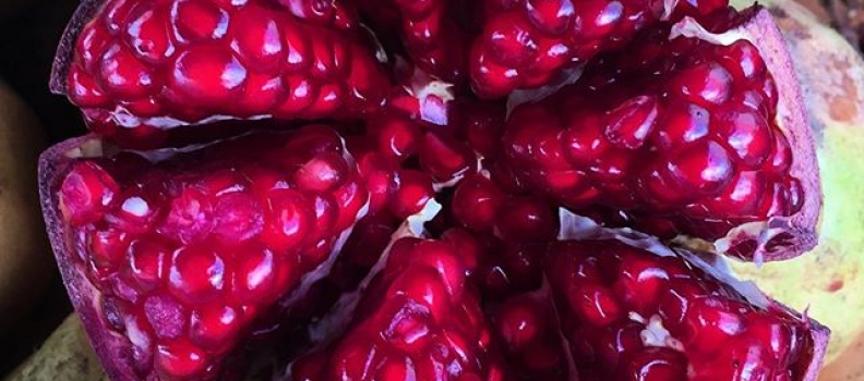 Riches, for breakfast. #mexico #pomegranate #heavensent #eattheworld #traveldeeper #instafood #malinalco #fave #myambrosia